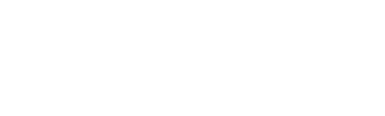 metroline_security